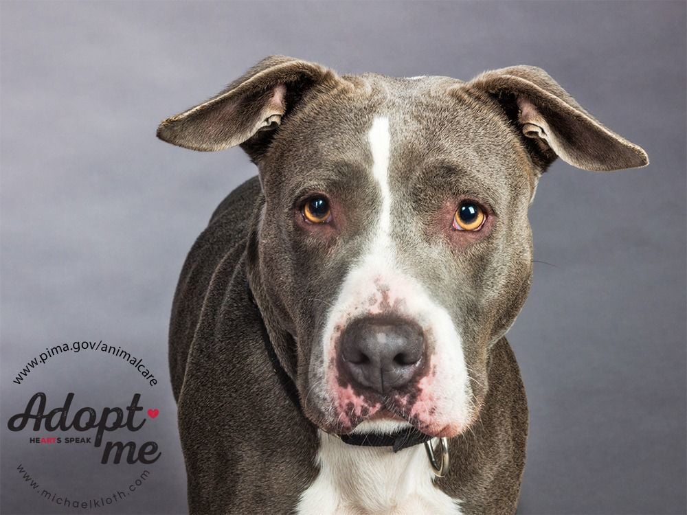 Adopt a friend: Kina